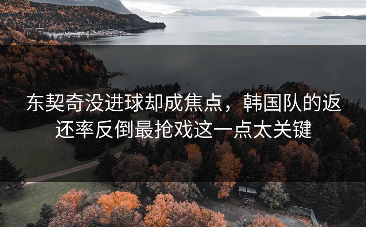 东契奇没进球却成焦点，韩国队的返还率反倒最抢戏这一点太关键