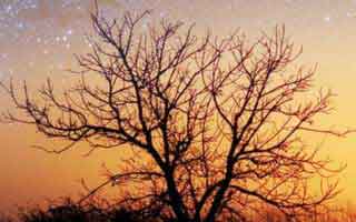 说句扎心的：澳门六合彩3分最伤人的不是输赢，而是债务压力：这不是危言耸听