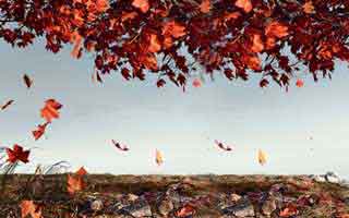 爱游戏体育app看着很像真的，但让你关闭安全防护这点太明显