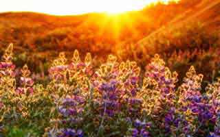 爱游戏体育app看着很像真的，但让你关闭安全防护这点太明显