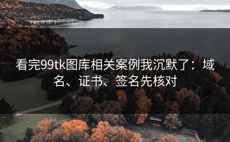 看完99tk图库相关案例我沉默了：域名、证书、签名先核对
